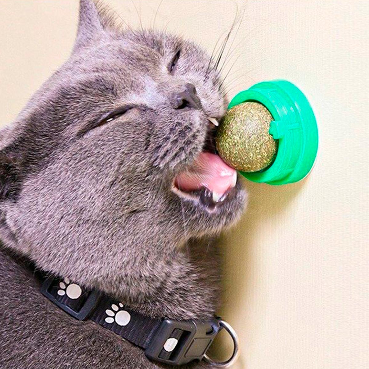 Juguete Para Gatos Anti Estrés AHY03